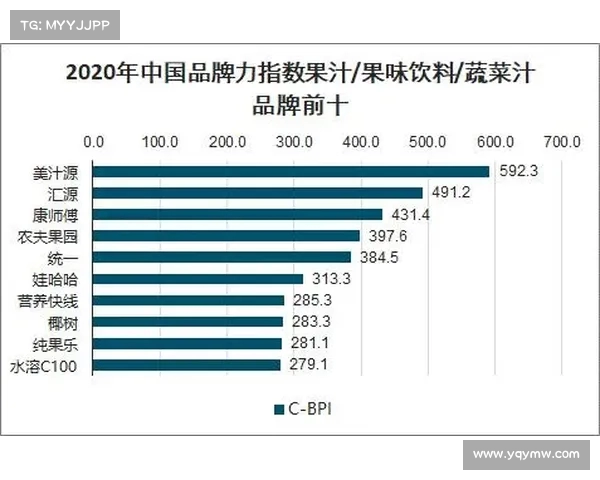 2025年足球转会市场竞争格局分析与未来发展趋势预测报告