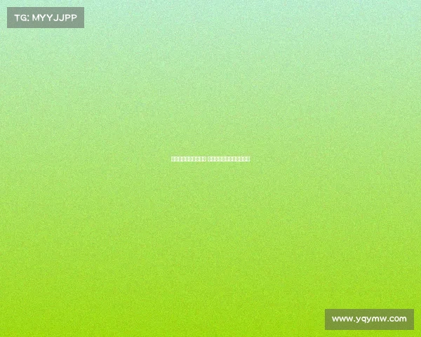 迈阿密热火队重塑辉煌 未来星光闪耀球场的新篇章